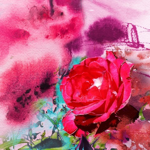 Abstract painting, flower and roses
